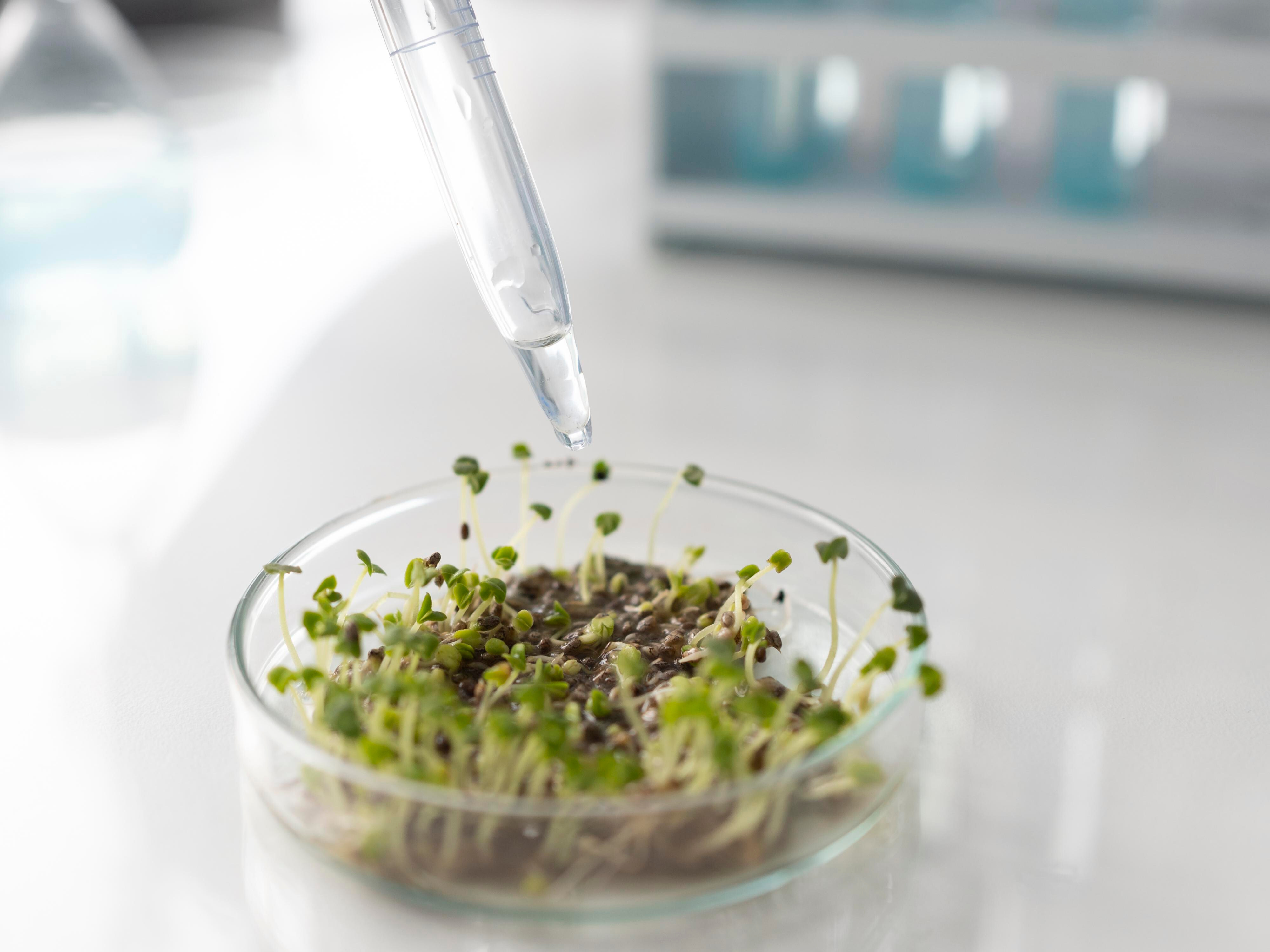 Greenmet Technology — laboratorium i nanotechnologia