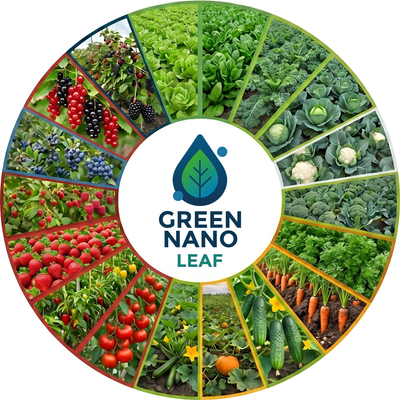 Green Nano Leaf — uprawy warzyw i owoców