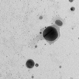 Nanocząstki srebra wytworzone opracowaną przez nas technologią — mikroskop elektronowy